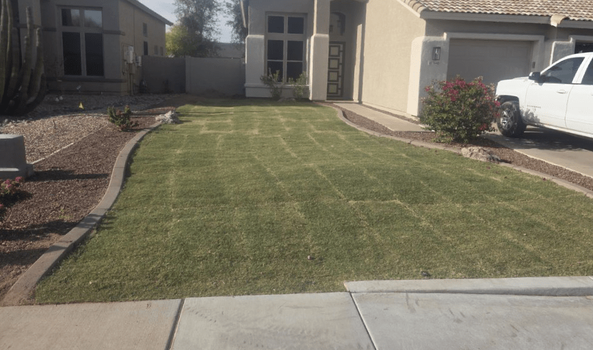 LAWN CARE